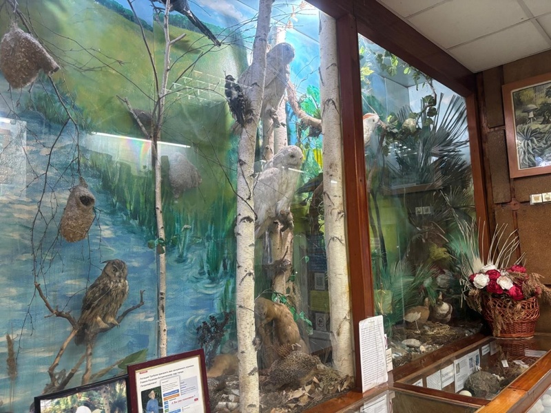 Petropavlda jańa botanıkalyq baq salý josparlanǵan &ndash; Artýr Rıazapov