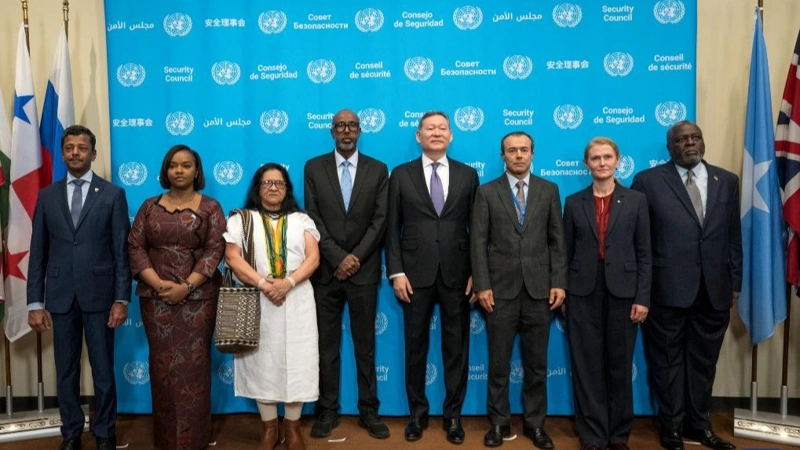 5 countries assume responsibilities as UN Security Council non-permanent members