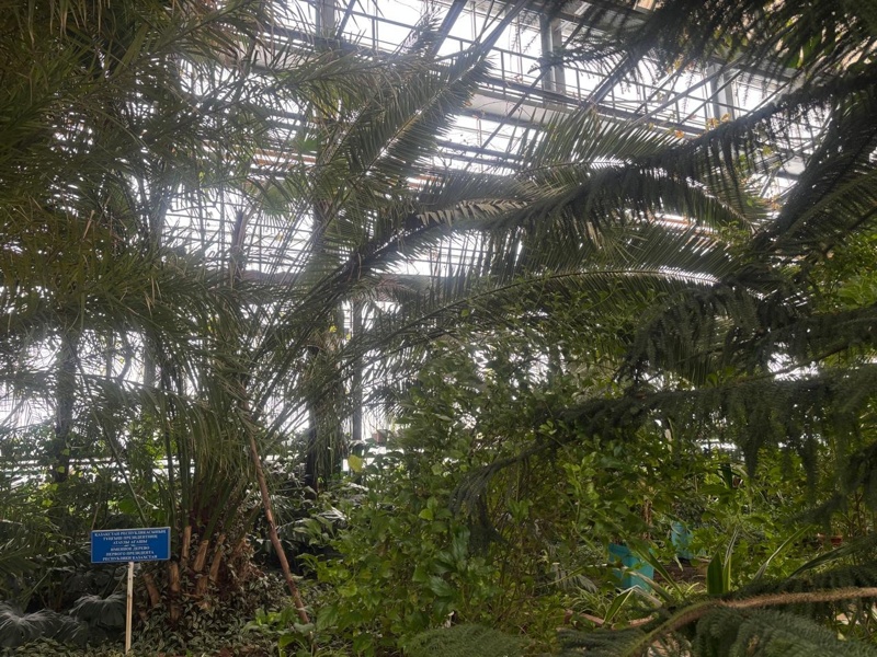 Petropavlda jańa botanıkalyq baq salý josparlanǵan &ndash; Artýr Rıazapov