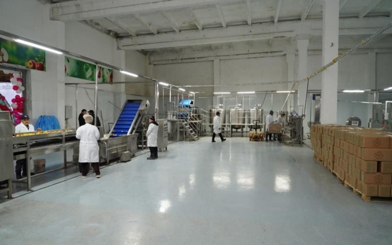 Түркістан облысында жеміс-жидектерді терең өңдейтін зауыт іске қосылды