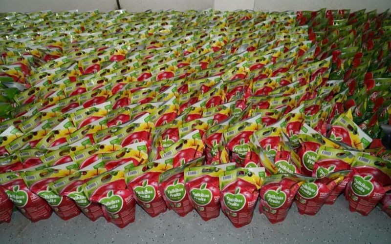 Түркістан облысында жеміс-жидектерді терең өңдейтін зауыт іске қосылды