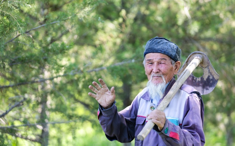 қызылордалық бағбан