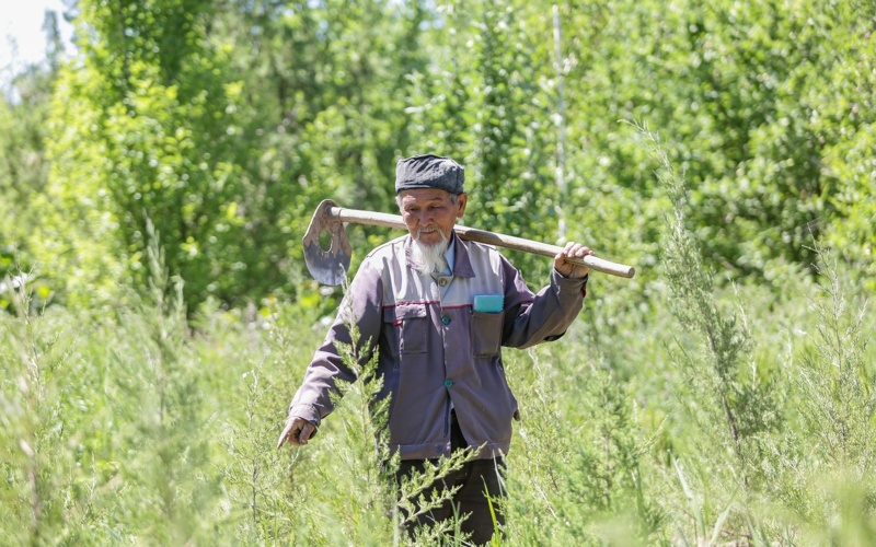 qyzylordalyq baǵban qyzylordalyq baǵban