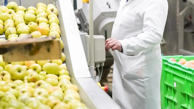 Энди Туркистон вилоятида табиий шарбатлар ва болалар таомлари ишлаб чиқарилади