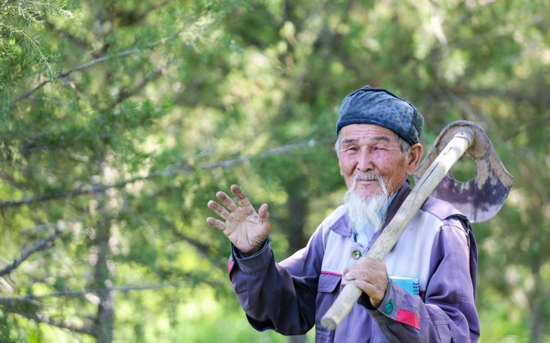 қызылордалық бағбан