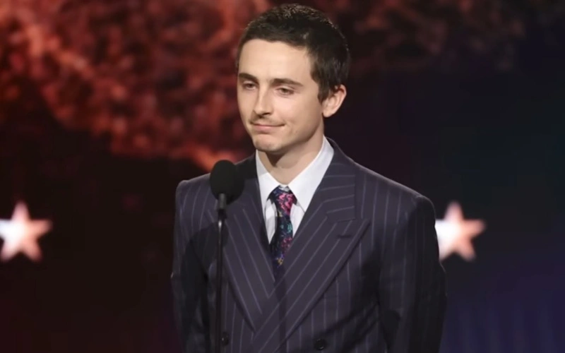 American actor Timothée Chalamet 