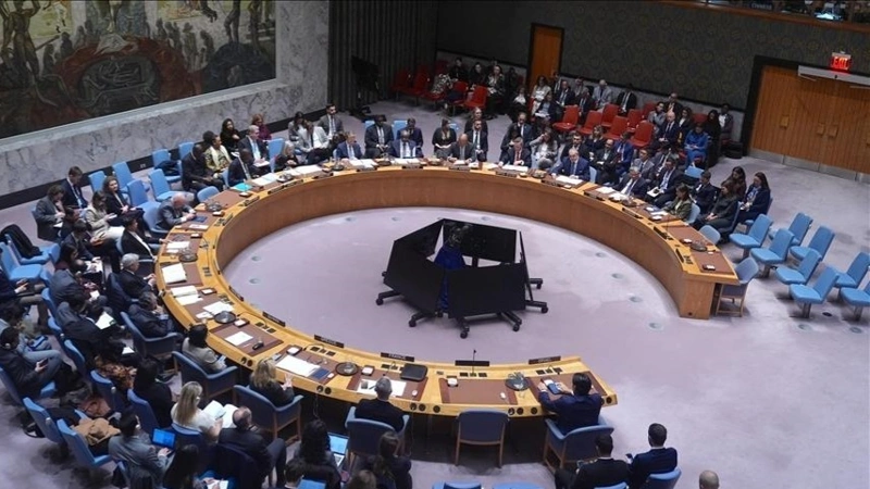 Совет Безопасности ООН, Венесуэла