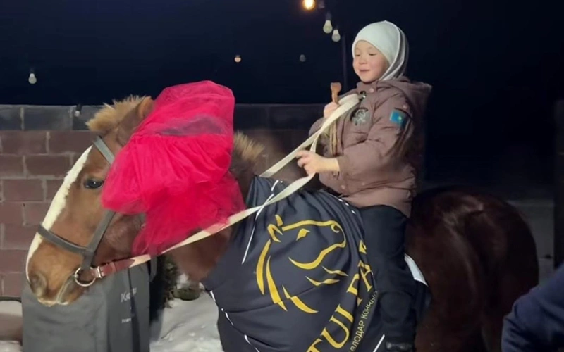 Сегіз жасар шабандоз қыз жаңа жылда армандаған тұлпарына қол жеткізді