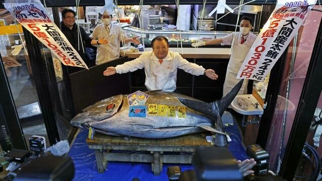 Giant bluefin tuna sells for $3.2mn at Tokyo’s Toyosu market 