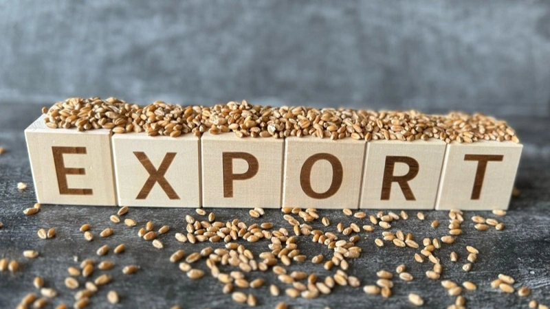 Majilis ratifies EAEU agreement on control of origin of export goods