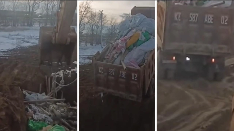 Захоронение строительных отходов в Алатау: в акимате сообщили о принятых мерах