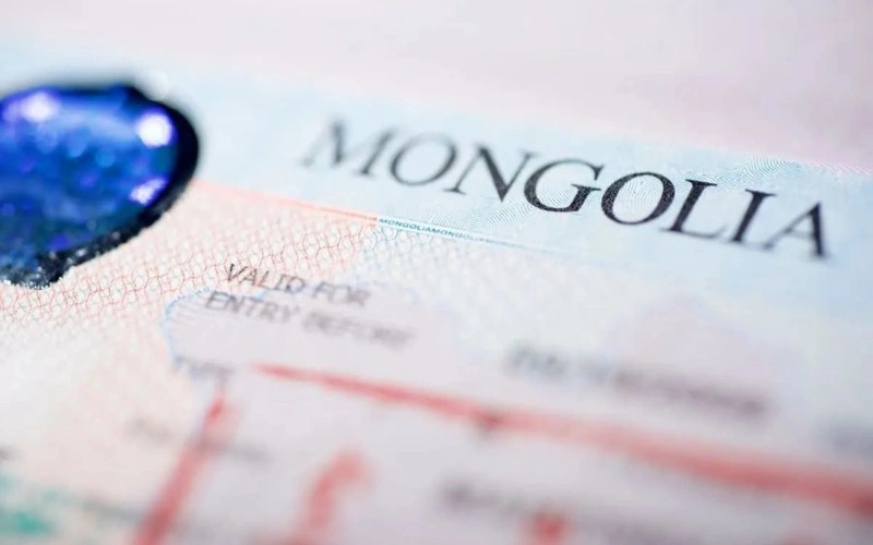 Immigration Agency Issues Visas to 124 Thousand Foreign Nationals Last Year