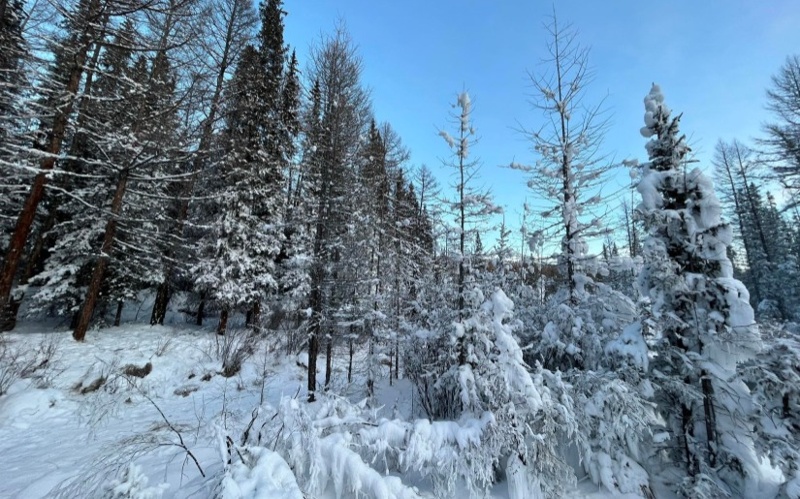 Never-freezing river in Mongolia in its winter splendor