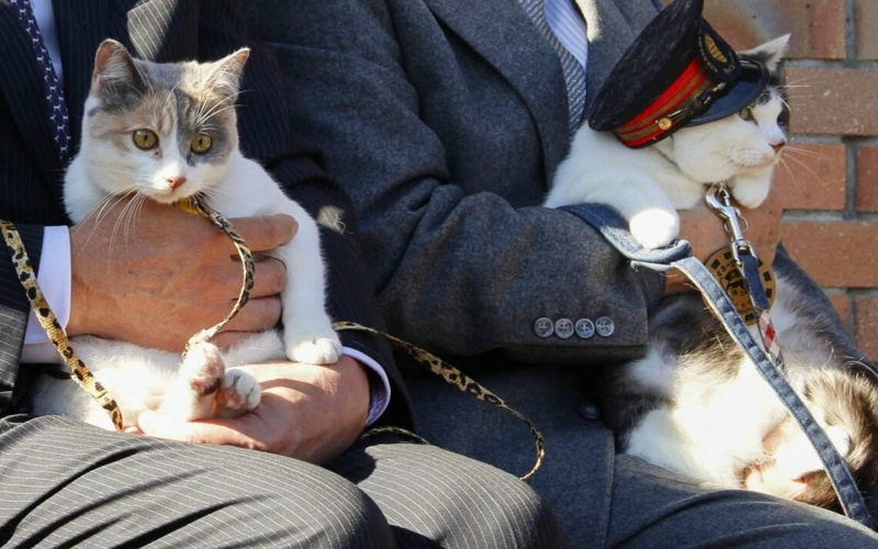 Japan railway appoints 3rd cat stationmaster