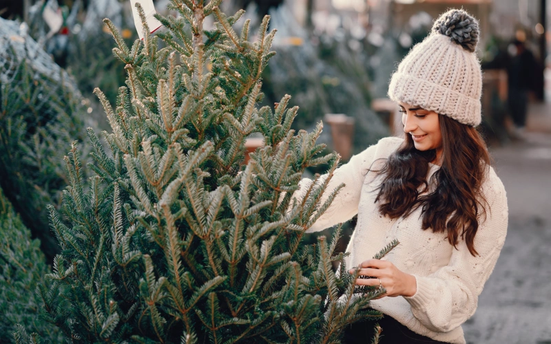 Куда можно сдать использованные новогодние елки в Алматы 