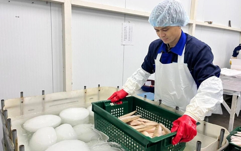2025年前11个月哈萨克斯坦鱼类成品产量接近6万吨