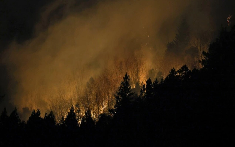 Жапонияда орман өртенді