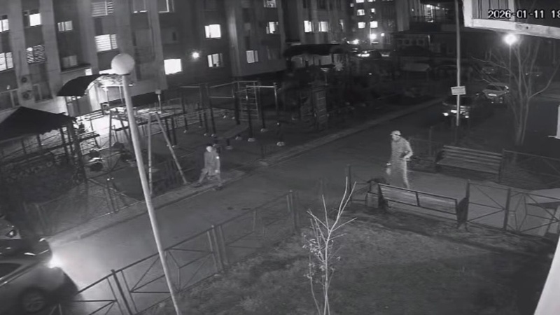 В Шымкенте расследуют убийство девушки: подозреваемый установлен