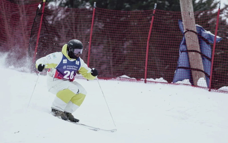 Анастасия Городко 