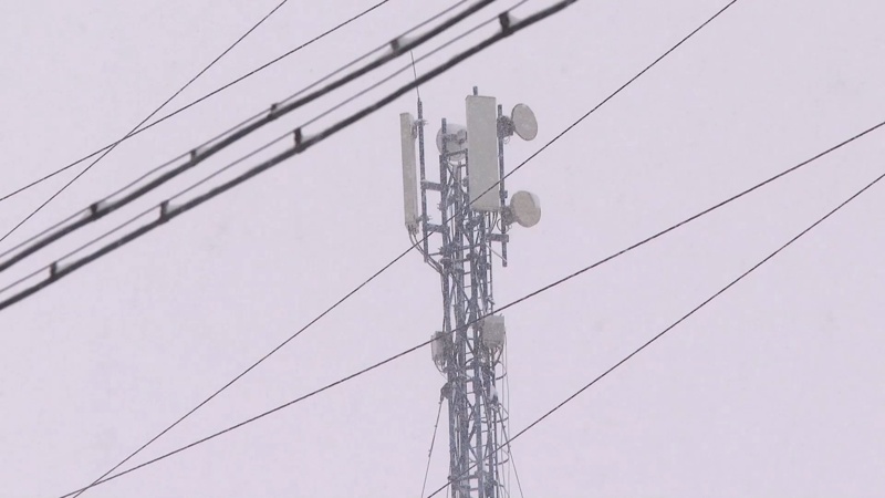 Фото: Нелли Нигматуллина / Kazinform