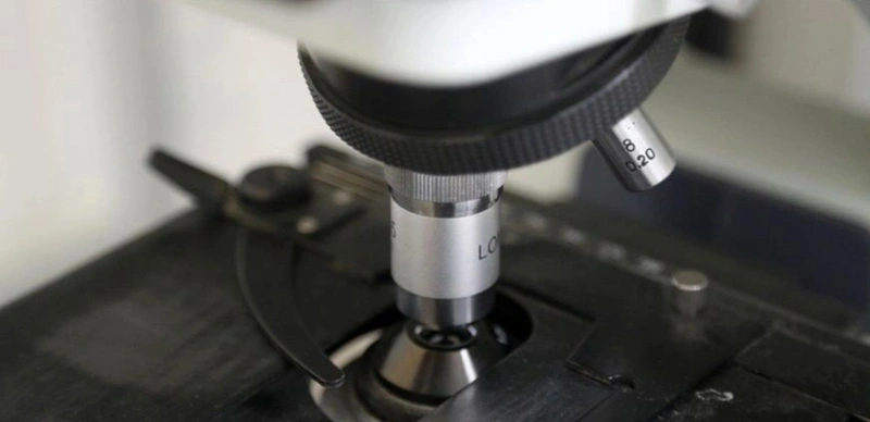 Belarus olimlari epilepsiyani davolashga moʻljallangan preparatga alternativa chiqardilar