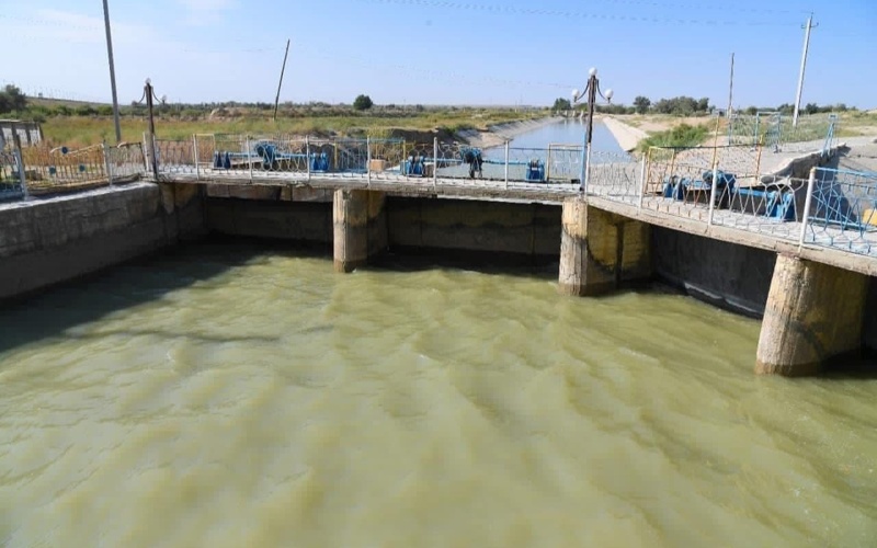 Фото: управление сельского хозяйства Туркестанской области Фото: управление сельского хозяйства Туркестанской области