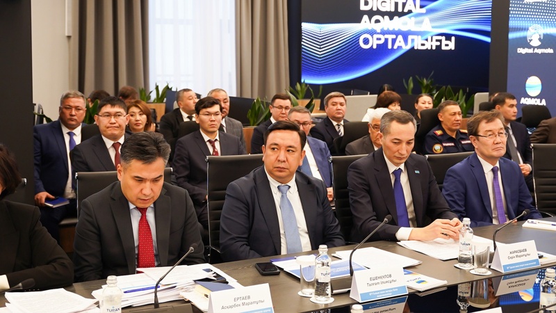 Кадровые проблемы и цифровизацию социальной сферы обсудили в Акмолинской области