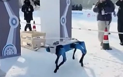 Frozen arena becomes a tech playground for robots in China's Jilin province,