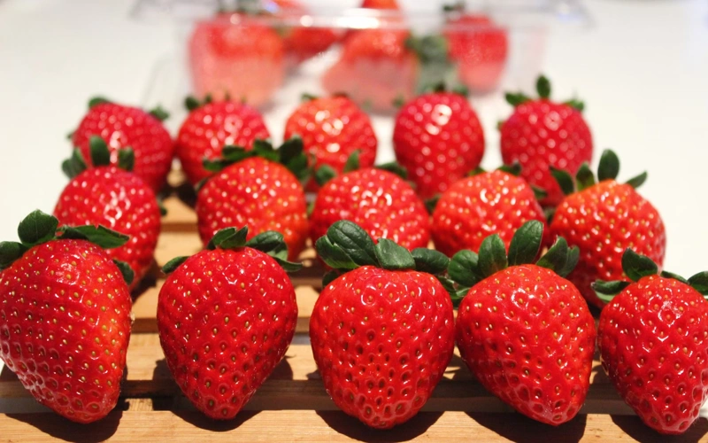 Egypt expands fresh strawberry exports to Uzbekistan