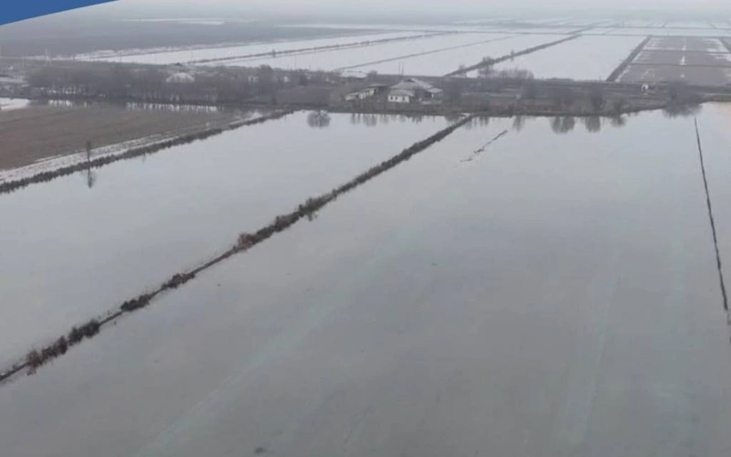 Промывка почвы на более 100 тыс. га орошаемых земель проводится в Туркестанской области