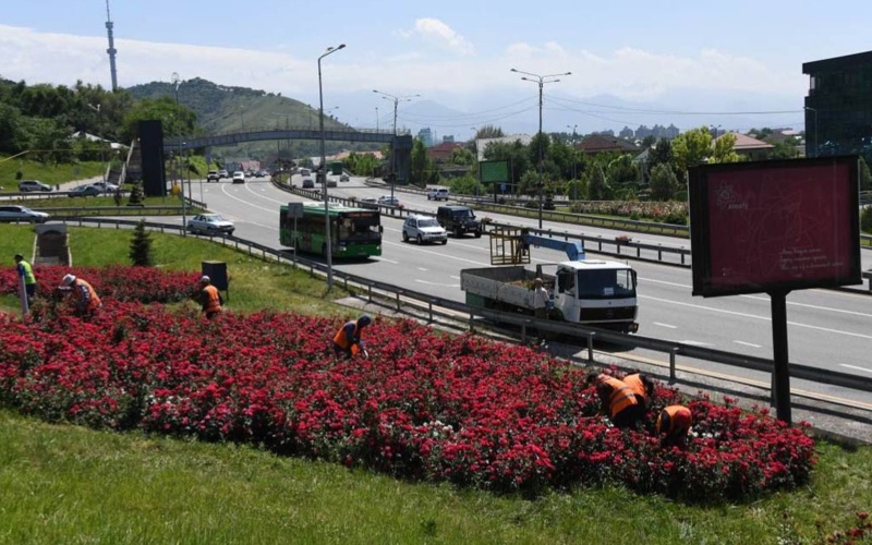 Алматы, цветы, озеленение