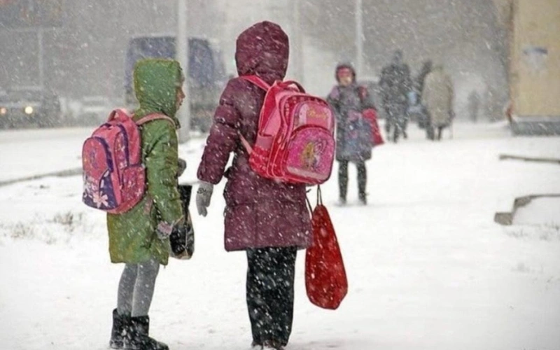 Школьников и студентов колледжей перевели на онлайн в Астане