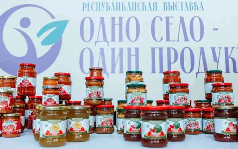 «Bir aýyl — bir ónim» jobasy: 20 óńirde kórme ótti