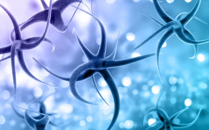 New study reveals how viral infection can lead to multiple sclerosis