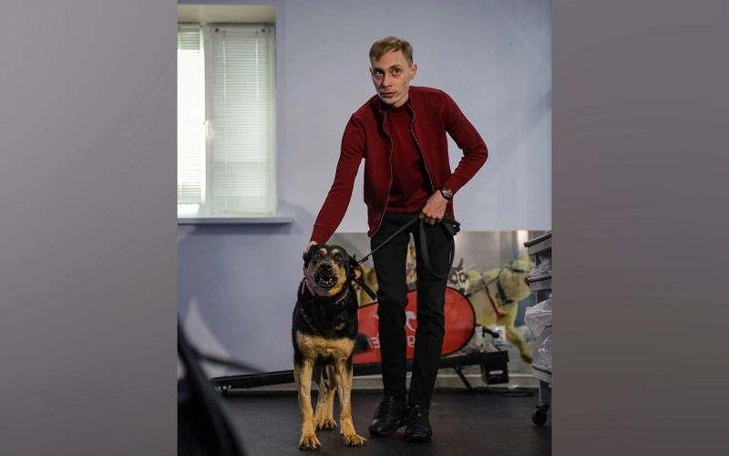 Впервые в стране карагандинские ветеринары заменили тазобедренный сустав собаке