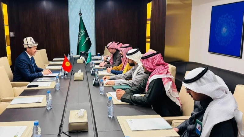 S. Arabia interested in hydroelectric power and solar power projects of Kyrgyzstan