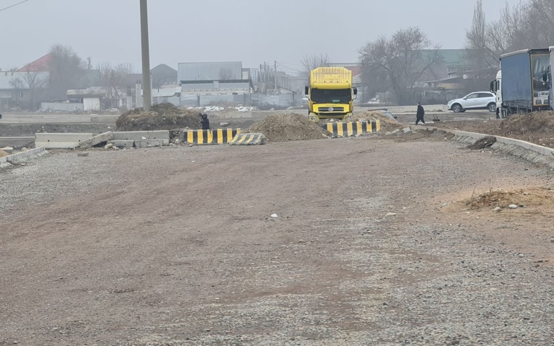 Алматыда 2026 жылы қандай көшелер ұзартылады