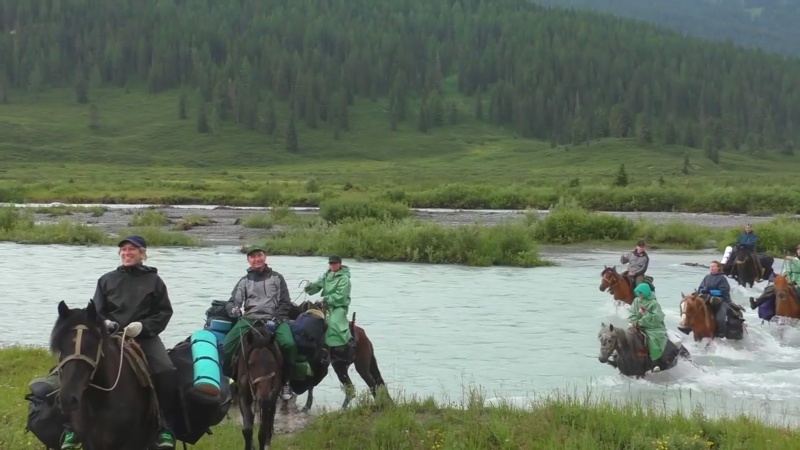 қатонқарағай