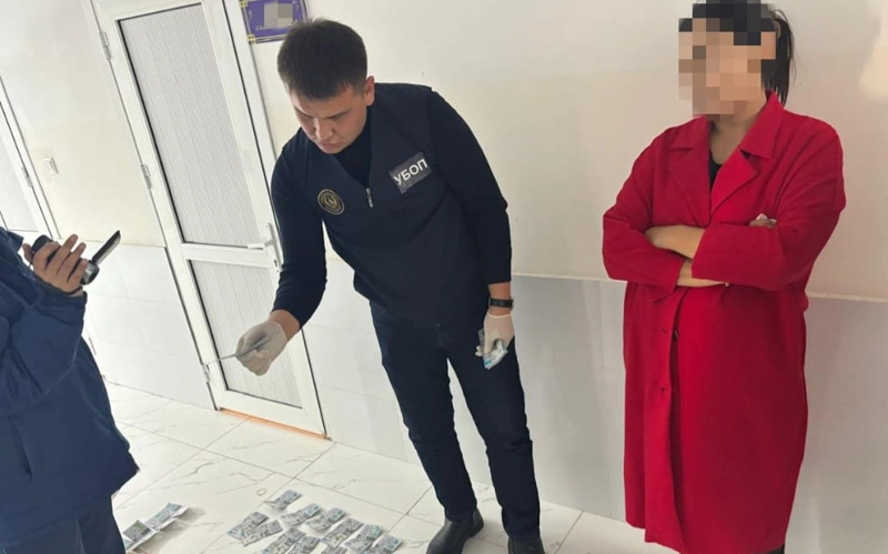Túrkistan oblysynda bloger emhana basshysynan 1 mln teńge aqsha bopsalaǵan