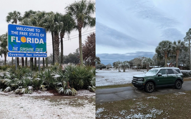 Snow, snowing, Florida, USA, climate, weather, nature, snowfall