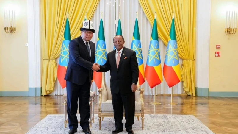 Kyrgyzstan, Ethiopia set to bolster ties as new envoy takes office 
