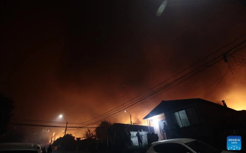 Japan's wildfires spread to 1,370 ectares