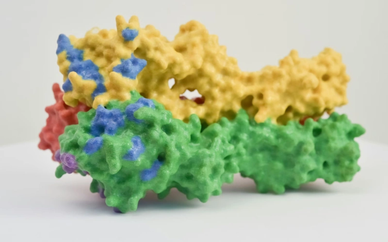 Chinese scientists achieve breakthrough in precise protein degradation