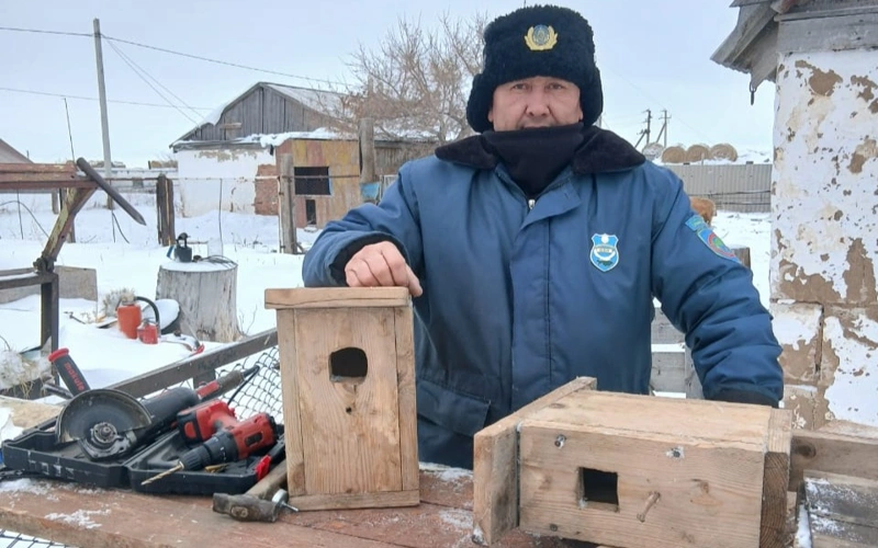 Павлодар орманшылары жабайы жануарларға тонналаған азық шашып жатыр