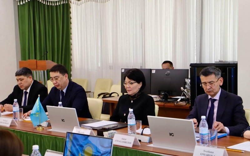 С. Жақыпова БҰҰДБ сарапшыларына скорингтік модельді таныстырды