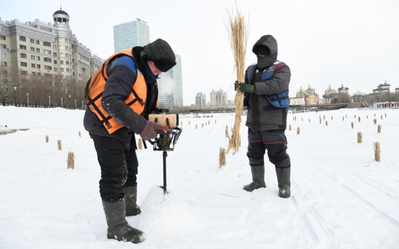 Работы по&nbsp;сохранению биоразнообразия в&nbsp;реке Есиль проводят в&nbsp;Астане