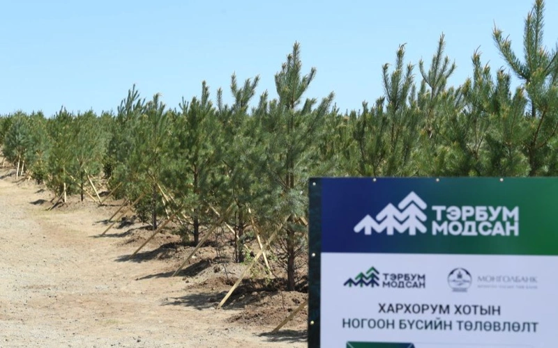 ‘Billions of Trees’: Mongolia’s national movement hits 127.9 mln trees