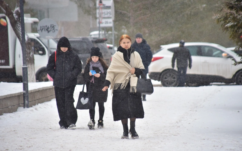 метель, боран, снег, қар