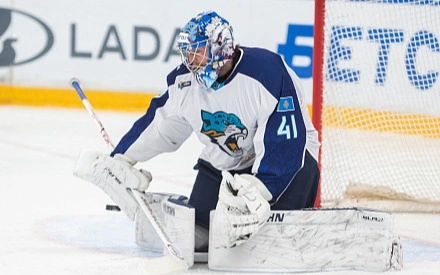 Barys