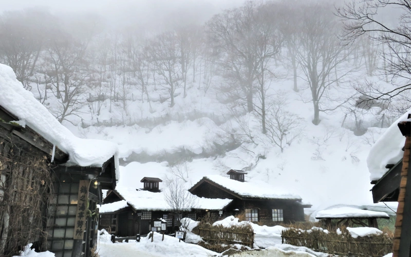 4 die, 26 injured in heavy snow in Japan
